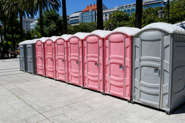 Best Portable Toilets with Baby Changing Stations  in Alice, TX